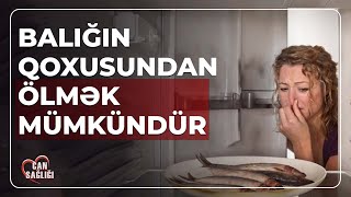 HANSI QİDALAR ALLERGİYAYA SƏBƏB OLUR  CAN SAĞLIĞI 13092024 [upl. by Nosral]