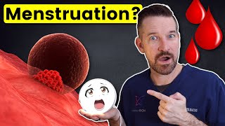 The TRUTH About Your Menstrual Cycle  4 Phases [upl. by Akcirred]