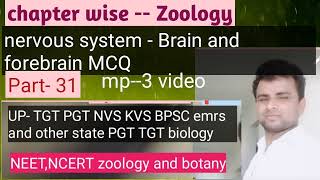 om bio study zone  brain and forebrain MCQ nervous system of brain ByRk sir [upl. by Aloek682]