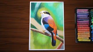 Easy Oil Pastel Drawing for Beginners  a Beautiful Bird [upl. by Ciardap]