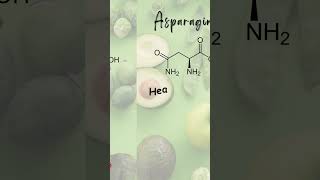 Asparagine  Non Essential Amino Acid proteinsource nonessentialaminoacid asparagine [upl. by Merline]