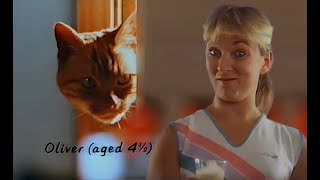 UK Television Adverts 1988 Part 4 [upl. by Enihpets324]