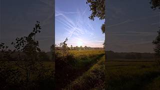 Steps in morning Grass 🥾​sunrise walking hiking asmr crunchy crunchyasmr nature naturelovers [upl. by Aleit631]