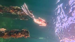 busselton jetty freediving western australia [upl. by Tracy]