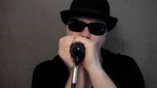 Im A Man  Bo Diddley blues harmonica cover [upl. by Teloiv]