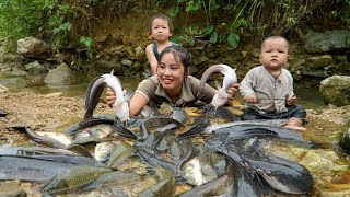 How to catch giant fish on a rainy day with your children and bring them to the market to sell [upl. by Ettesil]