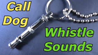 Dog Whistle Sound to Call Dog [upl. by Slifka]