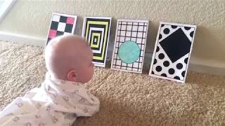 DIY High Contrast Posters Pictures for Babies Brain Development Savy Baby [upl. by Mahda]