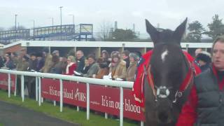 Denman enters the pre parade ring Newbury Hennessy 2010 [upl. by Aztiray171]