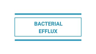 Bacterial Efflux [upl. by Sellihca353]