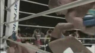 Fedor Emelianenko vs Antonio Rodrigo Nogueirawmv [upl. by Agarhs]