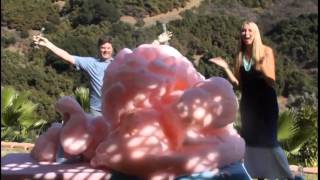 Creative Gender Reveal Elephant Toothpaste  industrial grade science [upl. by Rebma669]