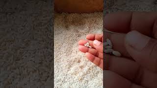 Restion rice lo plastic rice trending  viral [upl. by Aihsila]