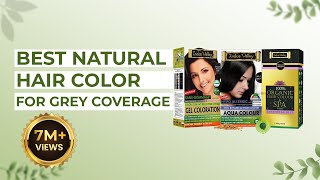 Choose Natural Hair Color for Grey Hair  Hair Dye at Home  Organic Hair Colour [upl. by Maia534]