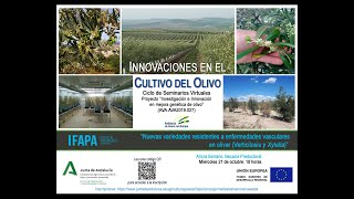 Variedades resistentes a enfermedades vasculares en olivar Verticilosis y Xylella  webinar21oct20 [upl. by Barbie]