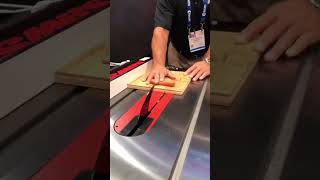 Sawstop Hotdog Demo in Slow Motion [upl. by Dranyam]