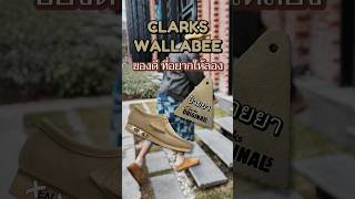 CLARKS WALLABEE ของดี ที่อยากให้ลอง clarks แต่งตัว แฟชั่น sneaker sneakerthailand [upl. by Llenram163]