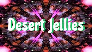 Desert Jellies  Floatin in a Barrel  Spaces Live [upl. by Gregorio]