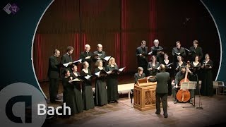 JS Bach Motet BWV 225 Singet dem Herrn  Vocalconsort Berlin [upl. by Laius]