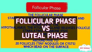 Follicular Phase vs Luteal PhaseUnderstand Menstrual CycleUnderstand FSH and LH normal ranges [upl. by Tala255]