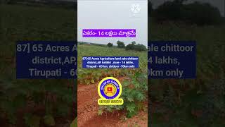 65 Acres Agriculture land sale  chittoor districtAP kalikiri  Acre  14 lakhsTirupati  60 km [upl. by Odrarej]