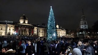 Norwegian tree lights up Londons Trafalgar Square  AFP [upl. by Tallulah]