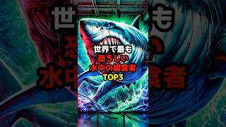 恐ろし過ぎる海の捕食者に関する雑学海 鮫 捕食者 怖い 動物 雑学 危険 闇 海洋生物 [upl. by Leva]