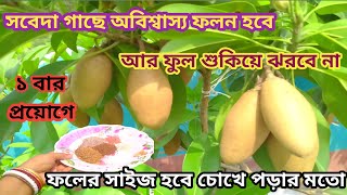 সবেদা গাছে অবিশ্বাস্য ফলন পেতে ১বার এই খাবার দিন ফল হবে বড়ো ও মিষ্টি। কী করলে ঝরবে না সবেদার ফুল [upl. by Ecnedurp]