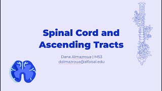 Spinal Cord amp Ascending Tracts  Dana Almazroua  NEU 241 PAL review session [upl. by Aitnis]