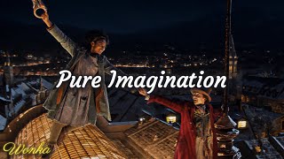 Pure Imagination  Timothée Chalamet  WaterTower Lyrics [upl. by Cord]