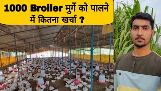 1000 Broiler chicken farming Cost Poultry farming business [upl. by Ataymik]