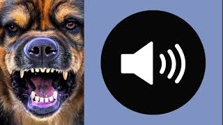 Dog barking sound effect chien qui grognesoundeffect bruitage [upl. by Tristis]