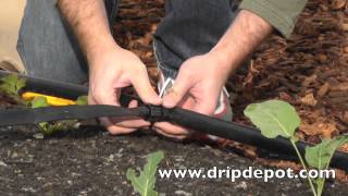 How to Install a Drip Irrigation System for Large Irregular Gardens [upl. by Ettolrahs]