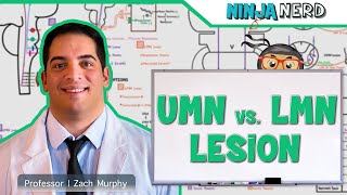 Neurology  Upper Motor Neuron vs Lower Motor Neuron Lesion  UMN vs LMN Lesion [upl. by Asirap890]