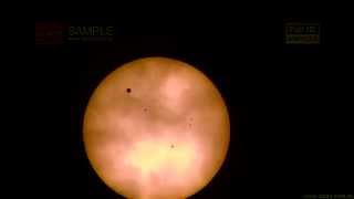 WB0093 美的因 台灣 見證 金星凌日 太陽黑子 實拍 金星凌日 transit of Venus [upl. by Herald]