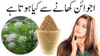 WELLNESS Expert Shares Top Carom Seeds Benefits [upl. by Hakan264]