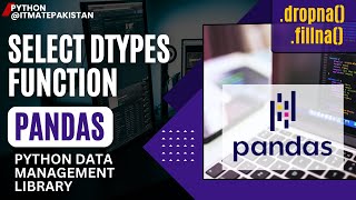 Select dtypes function pandas explained  Pandas tutorial in hindi [upl. by Tunk367]