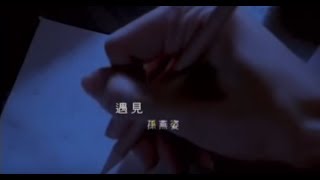 孫燕姿 Sun YanZi  遇見 Encounter official 官方完整版MV [upl. by Ailuy]