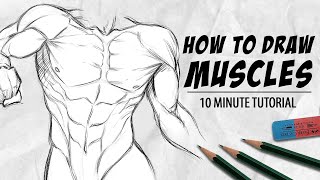 HOW TO DRAW MUSCLES IN 10 MINUTES  SixPack Arms and Chest  DrawlikeaSir [upl. by Nuahsyd261]