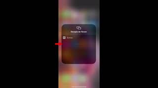 iOS 12 La Fonction recopie de lécran [upl. by Yeslaehc430]