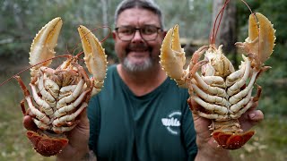 Crayfish Catch And Cook How To Catch Cook Shell And Eat Crayfish [upl. by Uriel]