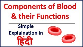 The Components of Blood and Their Functions  Bhushan Science [upl. by Lien]