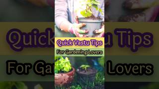 Vastu tips for home garden jyotish astrology vastu vastutips gardening gardeningtips shorts [upl. by Maxine]