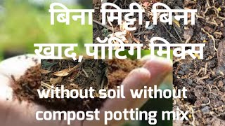 🔴बिना मिट्टी  बिना खाद हल्के पॉटिंग मिक्स कैसे बनाएं  Soilless media Soilless potting mix [upl. by Letnom165]