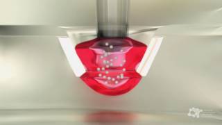 Organs Bioprinting – 1st Spheroid formation process by the Hanging Drop Method [upl. by Scribner134]