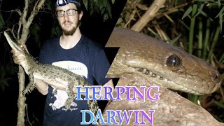 Herping in Darwin  Crocodiles and massive pythons [upl. by Nimsay]