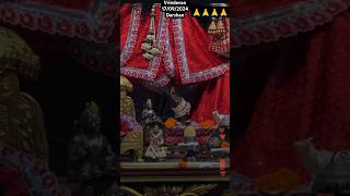 17092024 radhekrishna darshan vrindavan mandir shorts [upl. by Arinay]