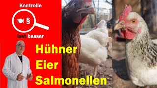 Der Lebensmittelkontrolleur das Ei und die Salmonellen [upl. by Jeno]