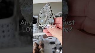 larvikite crystals crystalshop crystalhealing spiritual petalsofwander crystalasmr grounding [upl. by Eveneg]