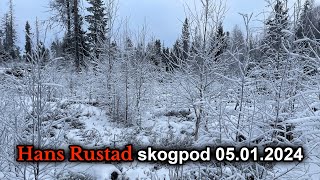 Skogpod 5 januar 2024 [upl. by Ahtennek735]